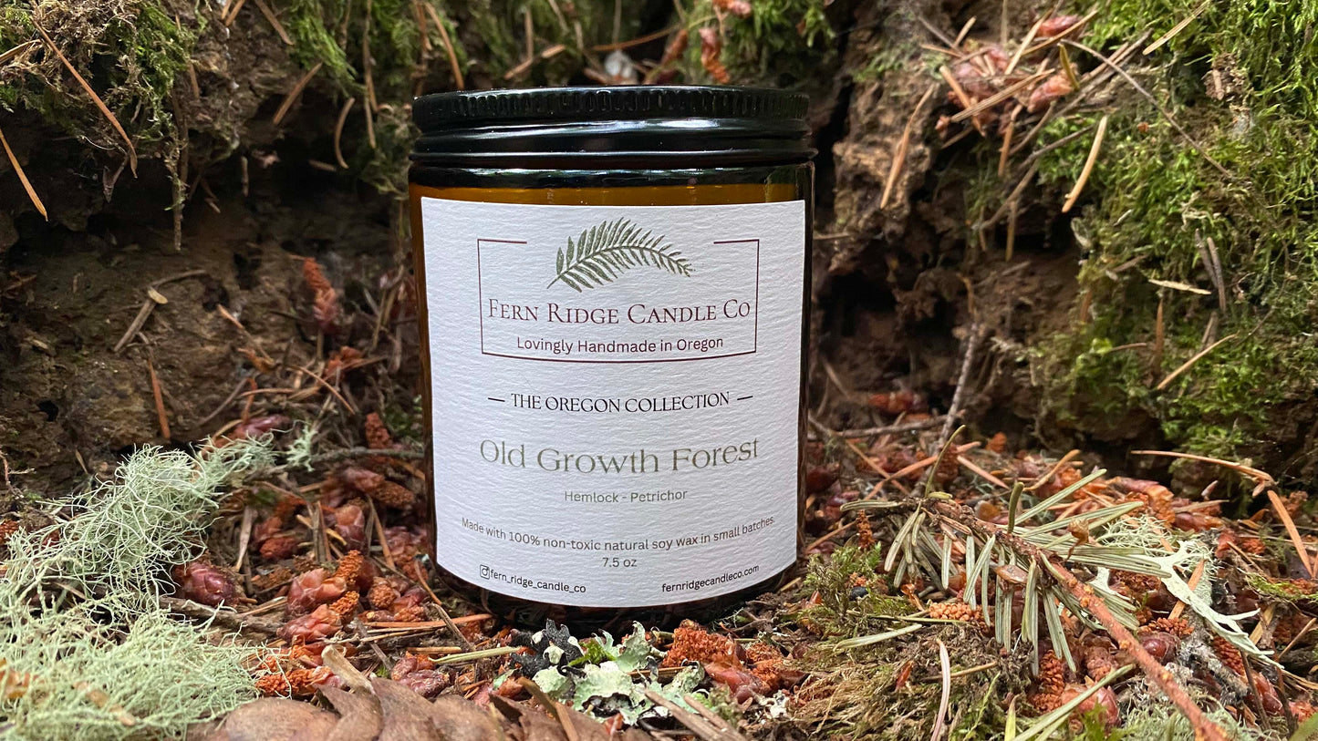 Old Growth Forest