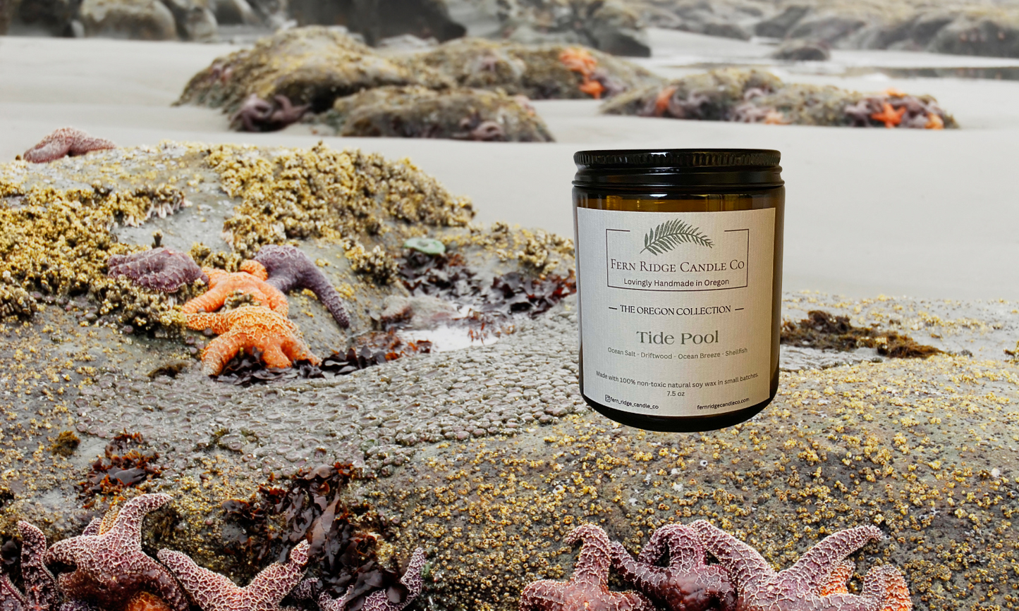 Tide Pool